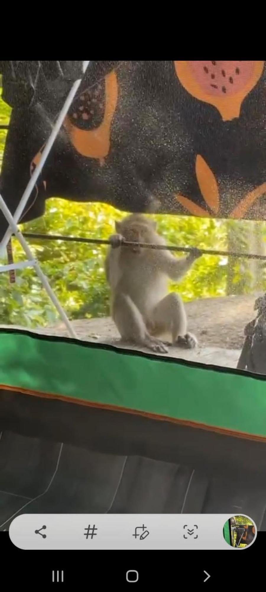 Joy Camping Haad Rin Eksteriør billede
